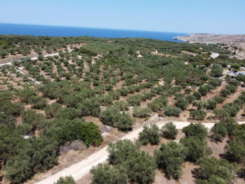 Plaka Chania Kreta, Plaka Chania: Unglaubliches bebaubares Grundstück zu verkaufen Grundstück kaufen